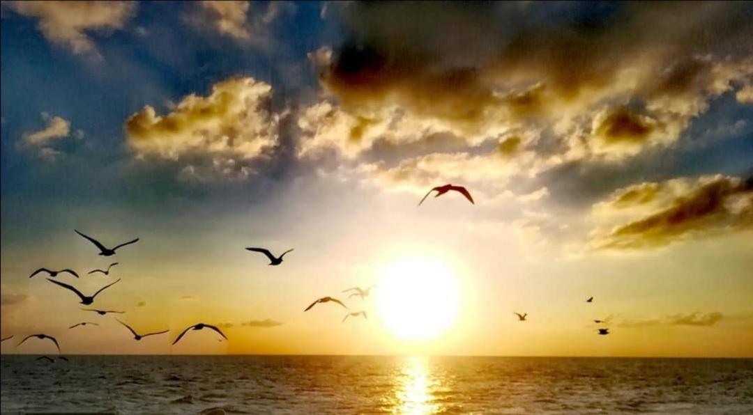 Appartamento Lido San Giovanni Gallipoli Buitenkant foto