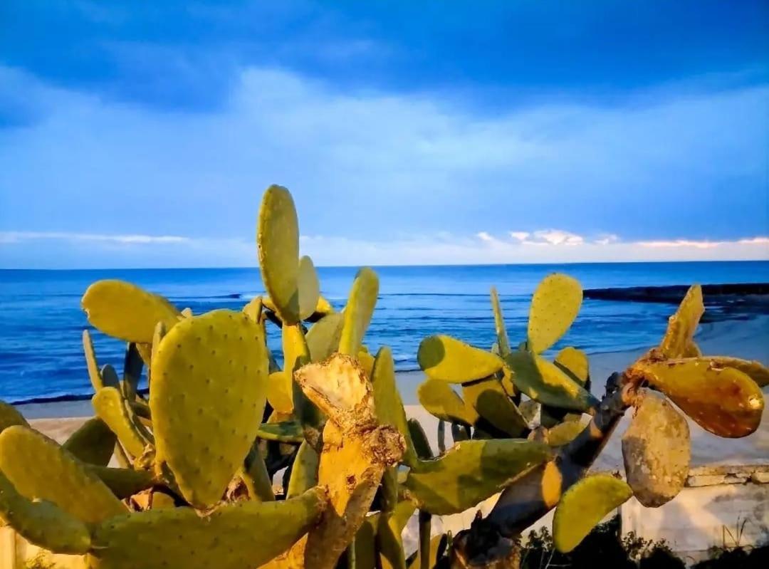 Appartamento Lido San Giovanni Gallipoli Buitenkant foto